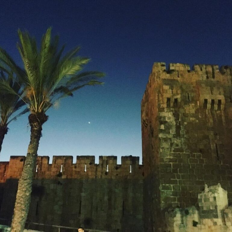 Promises from the Eastern Wind (poem): Wall of Jerusalem Old City and palm tree