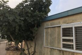 Parshat Metzora: caravan in Binyamin