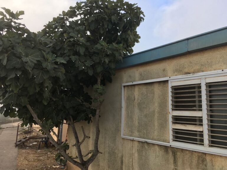 Parshat Metzora: caravan in Binyamin