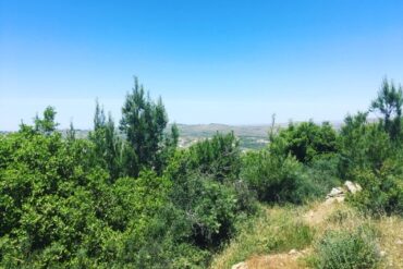 "Outside the Fence" view of the mountains. Parshat Behar