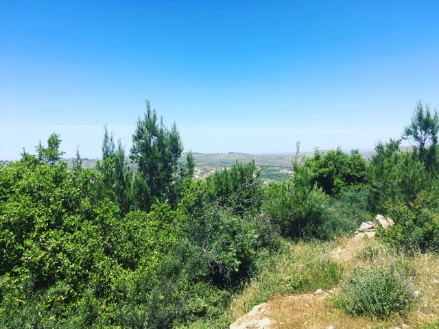 "Outside the Fence" view of the mountains. Parshat Behar