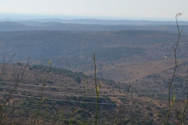 Wake Up (poem): view in Samaria