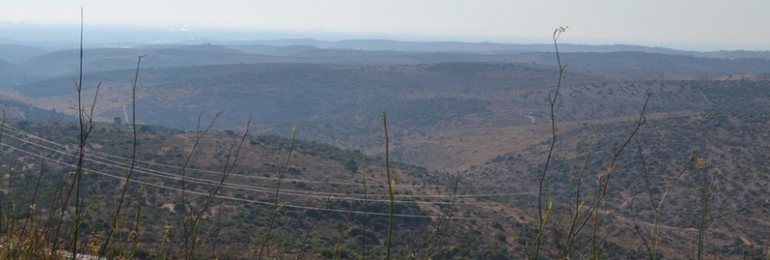 Wake Up (poem): view in Samaria