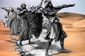 Parshat Devarim - the spies