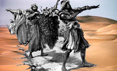 Parshat Devarim - the spies