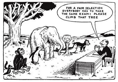"Fair" testing in US education