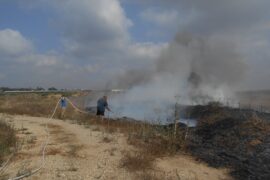 Kibbutz Alumim, a few kilometers from the border of Gaza