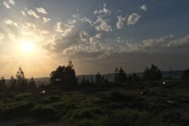 Sunset. Parshat Masei
