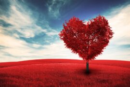 Tu b'Av - tree in the shape of a heart