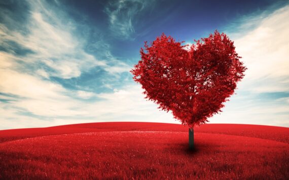 Tu b'Av - tree in the shape of a heart