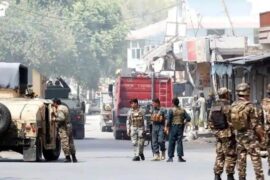 Eight killed in suicide attack on Afghan election candidate