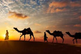 Parshat Lekh Lekha - people and camels walking in the desert
