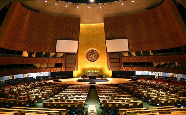 UN General Assembly