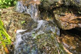 "Earth and Water" by Robert Goodman - flowing stream