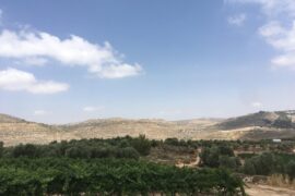 West Bank